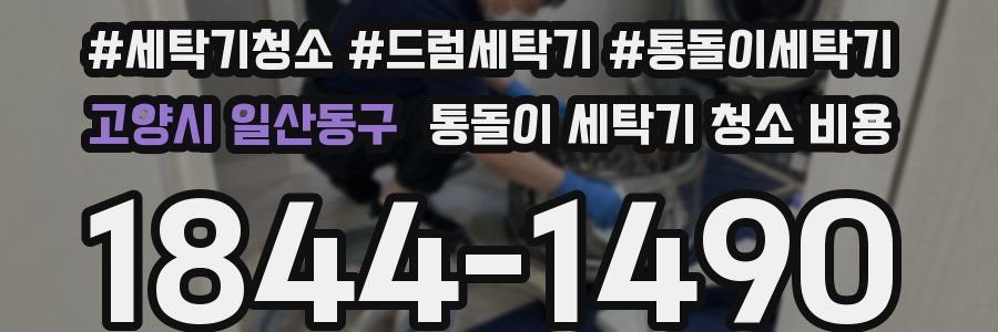 고양시 일산동구 통돌이 세탁기 청소 비용