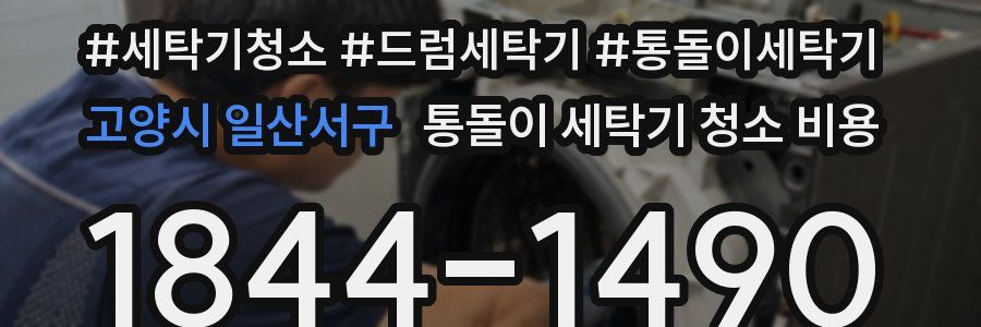 고양시 일산서구 통돌이 세탁기 청소 비용