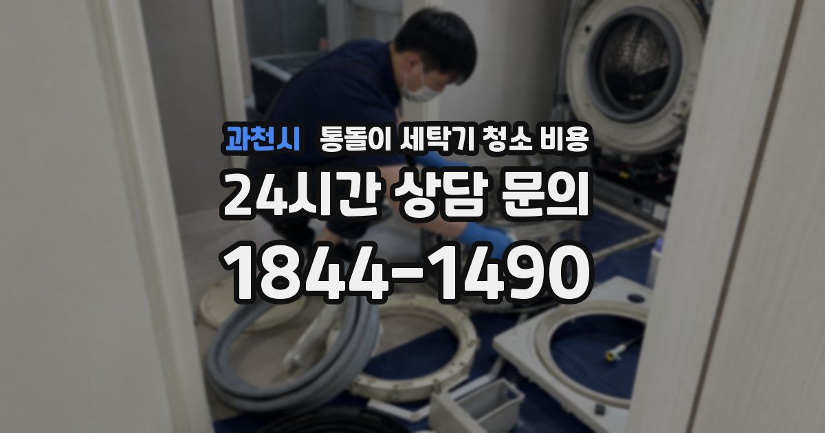 과천시 통돌이 세탁기 청소 비용