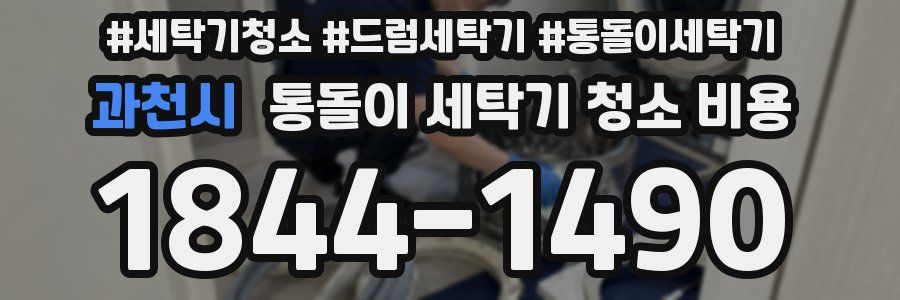 과천시 통돌이 세탁기 청소 비용