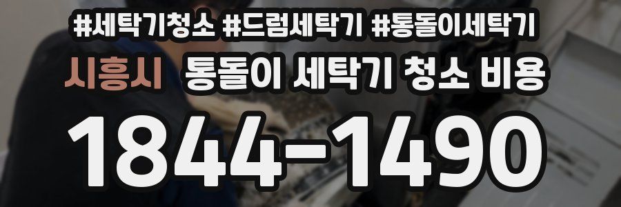 시흥시 통돌이 세탁기 청소 비용