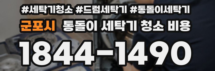 군포시 통돌이 세탁기 청소 비용