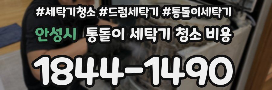 안성시 통돌이 세탁기 청소 비용
