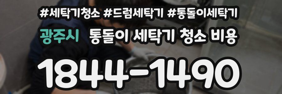 광주시 통돌이 세탁기 청소 비용