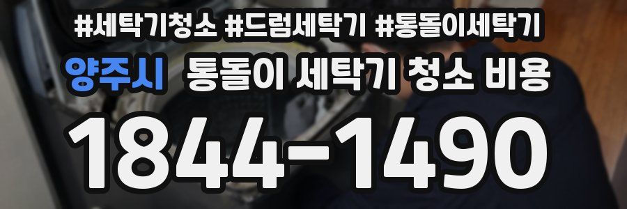 양주시 통돌이 세탁기 청소 비용