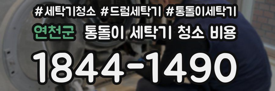 연천군 통돌이 세탁기 청소 비용