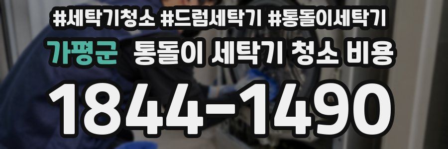 가평군 통돌이 세탁기 청소 비용