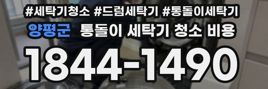 양평군 통돌이 세탁기 청소 비용
