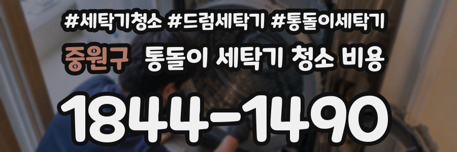중원구 통돌이 세탁기 청소 비용