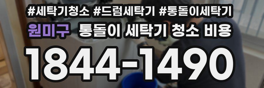 원미구 통돌이 세탁기 청소 비용
