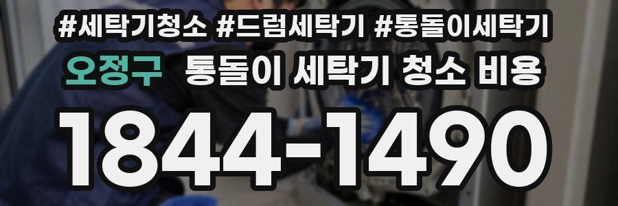 오정구 통돌이 세탁기 청소 비용
