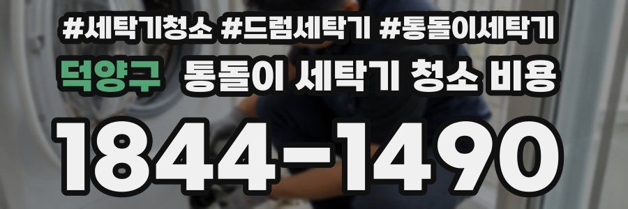 덕양구 통돌이 세탁기 청소 비용