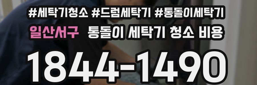 일산서구 통돌이 세탁기 청소 비용