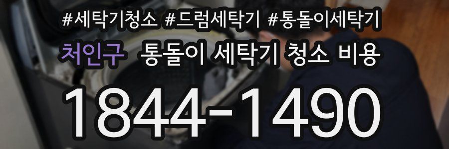 처인구 통돌이 세탁기 청소 비용