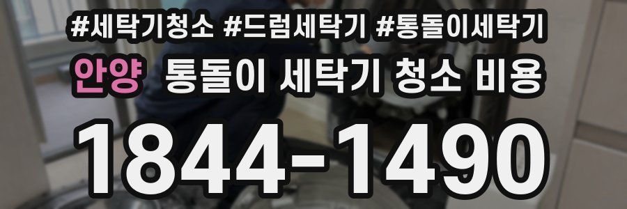 안양 통돌이 세탁기 청소 비용