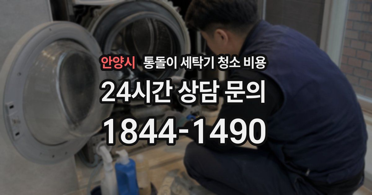 안양시 통돌이 세탁기 청소 비용