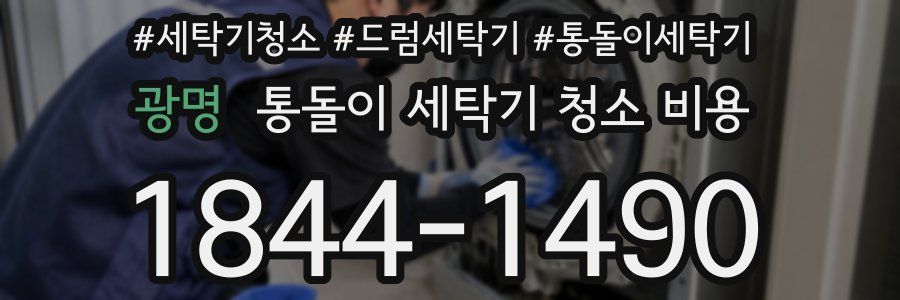 광명 통돌이 세탁기 청소 비용