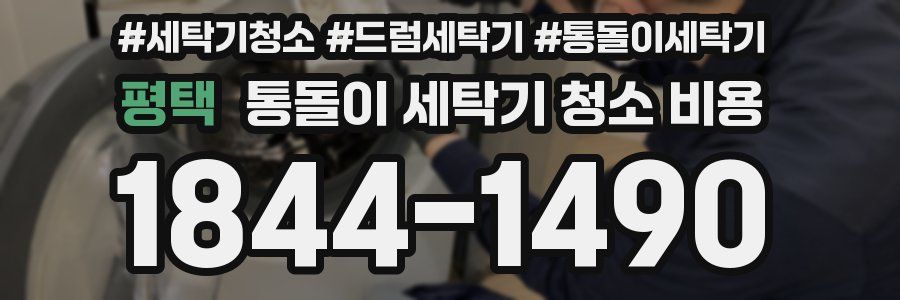 평택 통돌이 세탁기 청소 비용