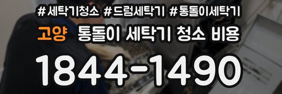 고양 통돌이 세탁기 청소 비용