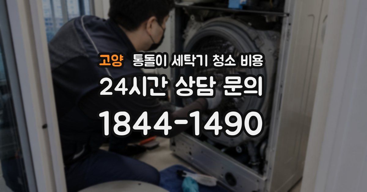고양 통돌이 세탁기 청소 비용