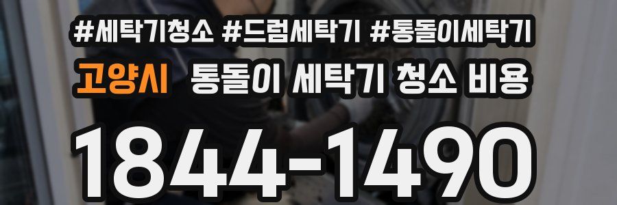 고양시 통돌이 세탁기 청소 비용