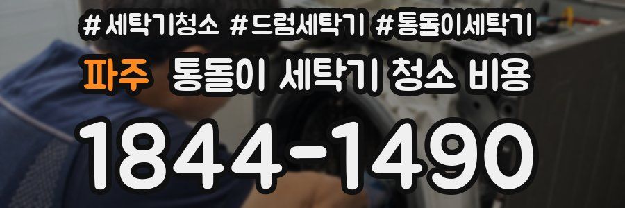 파주 통돌이 세탁기 청소 비용