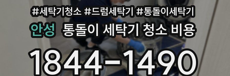 안성 통돌이 세탁기 청소 비용