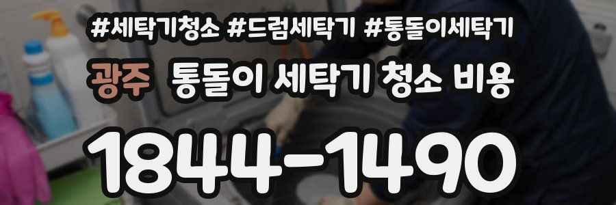 광주 통돌이 세탁기 청소 비용