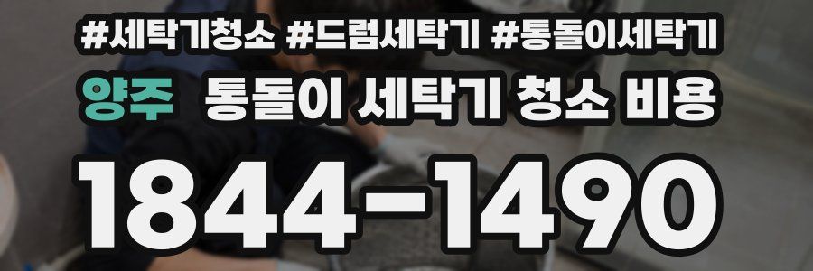 양주 통돌이 세탁기 청소 비용
