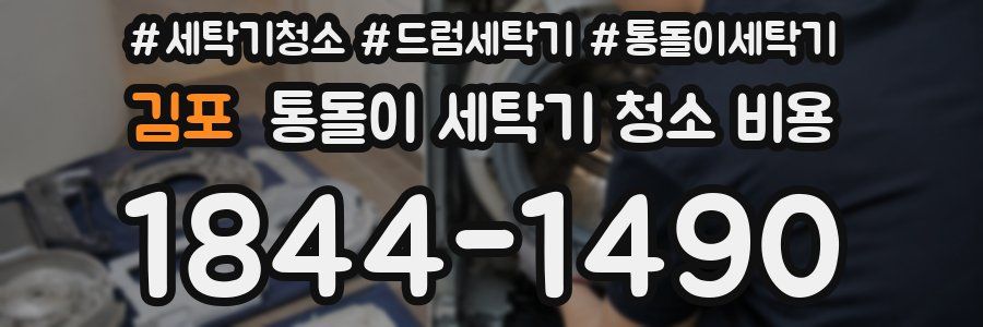 김포 통돌이 세탁기 청소 비용