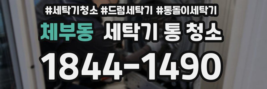 체부동 세탁기 통 청소