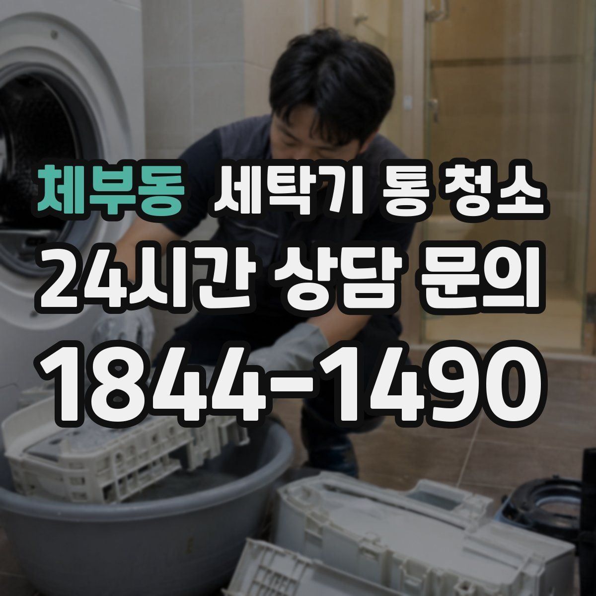 체부동 세탁기 통 청소