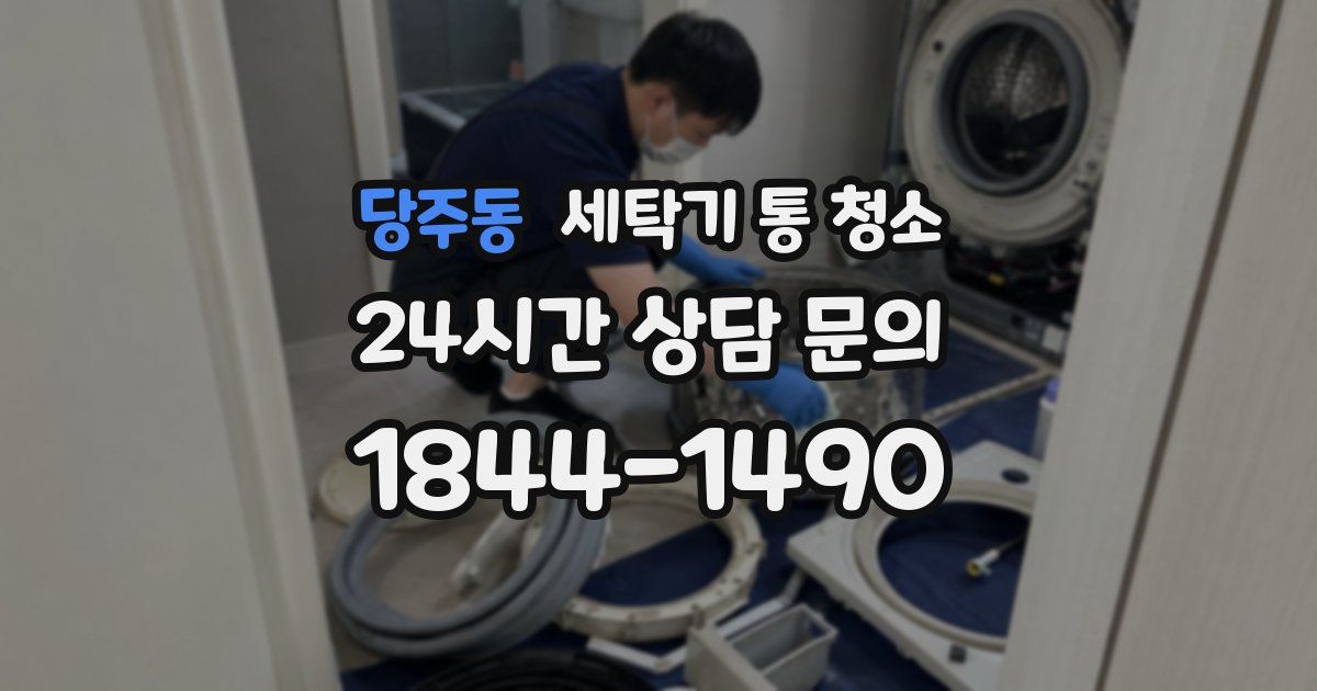 당주동 세탁기 통 청소
