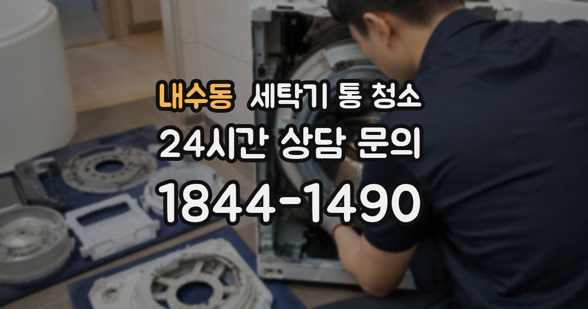 내수동 세탁기 통 청소