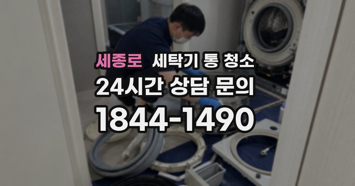세종로 세탁기 통 청소