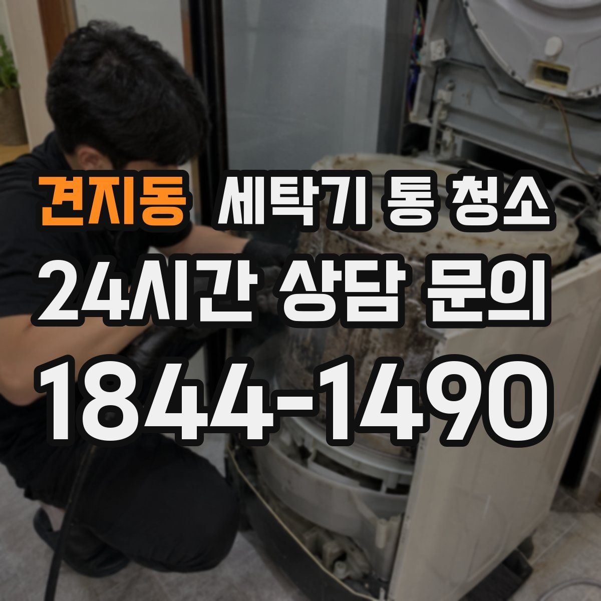 견지동 세탁기 통 청소