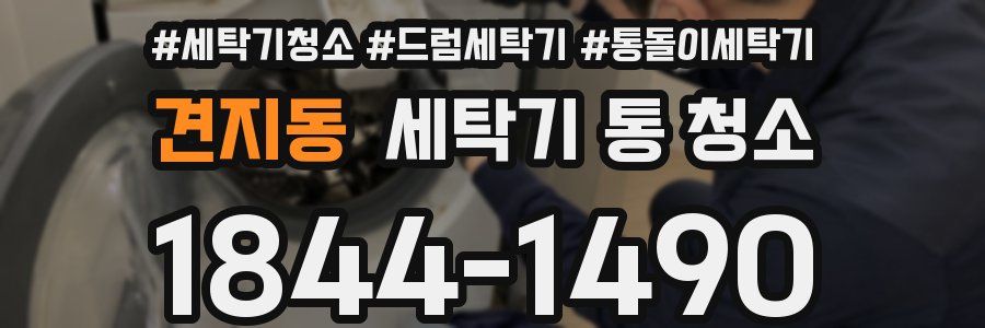 견지동 세탁기 통 청소