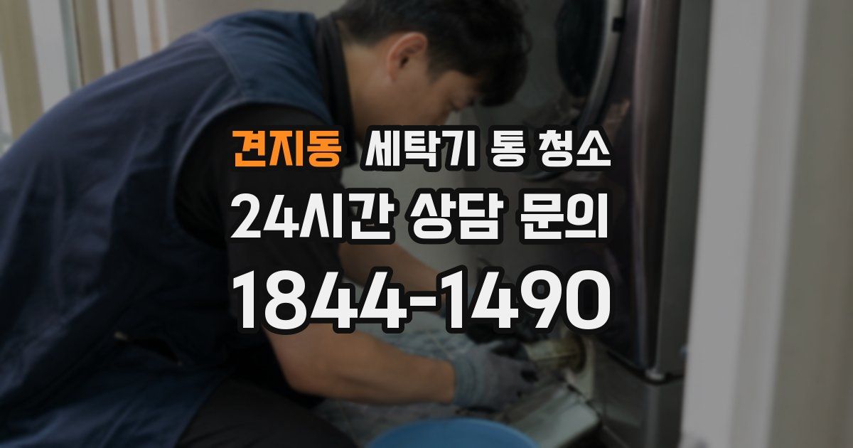 견지동 세탁기 통 청소