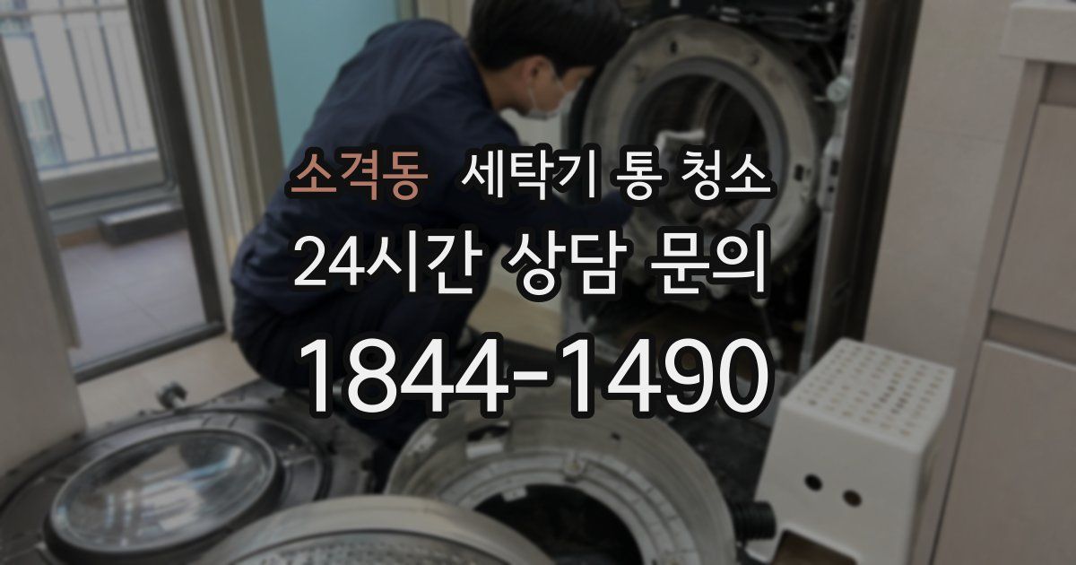 소격동 세탁기 통 청소