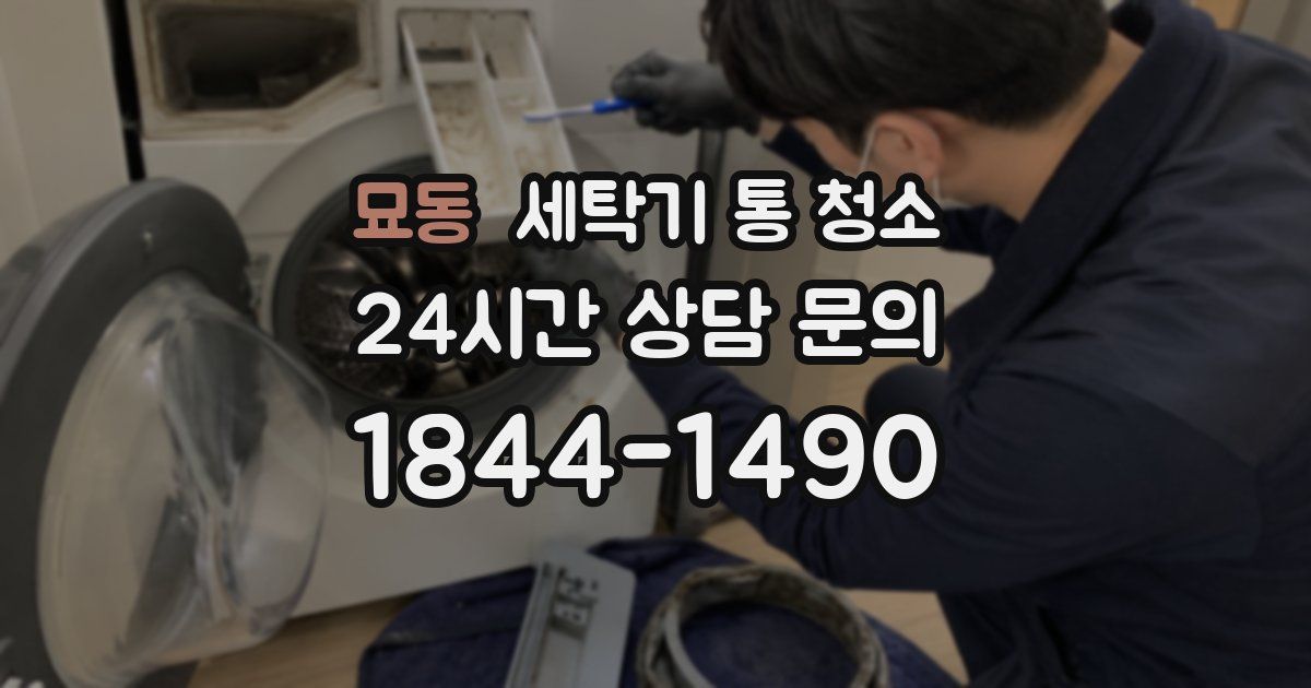 묘동 세탁기 통 청소