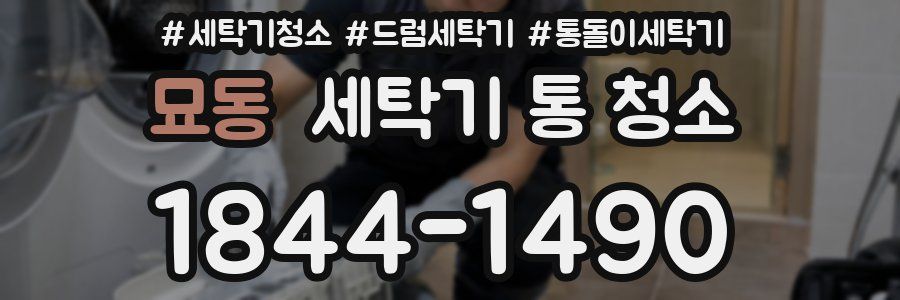묘동 세탁기 통 청소