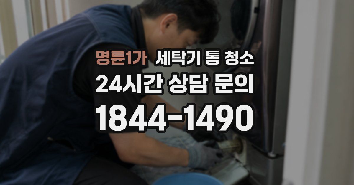 명륜1가 세탁기 통 청소