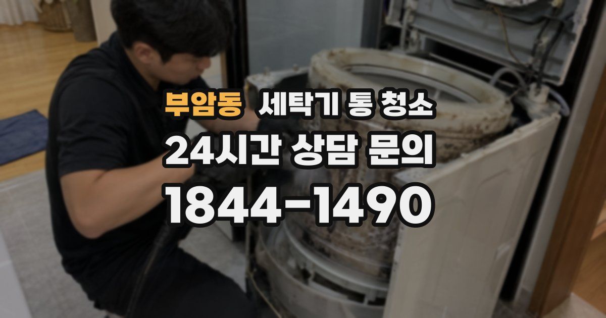 부암동 세탁기 통 청소