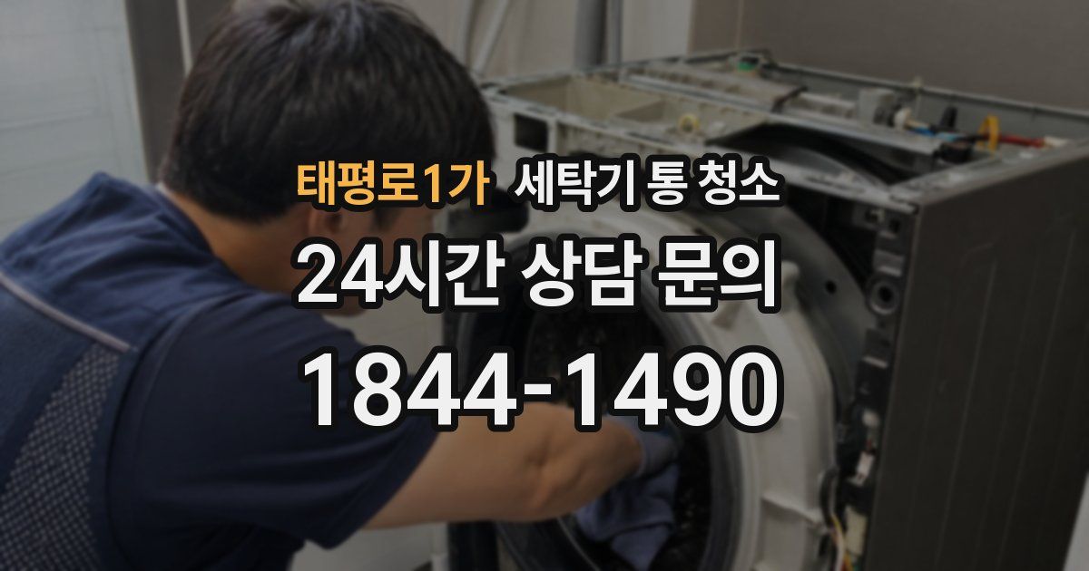 태평로1가 세탁기 통 청소