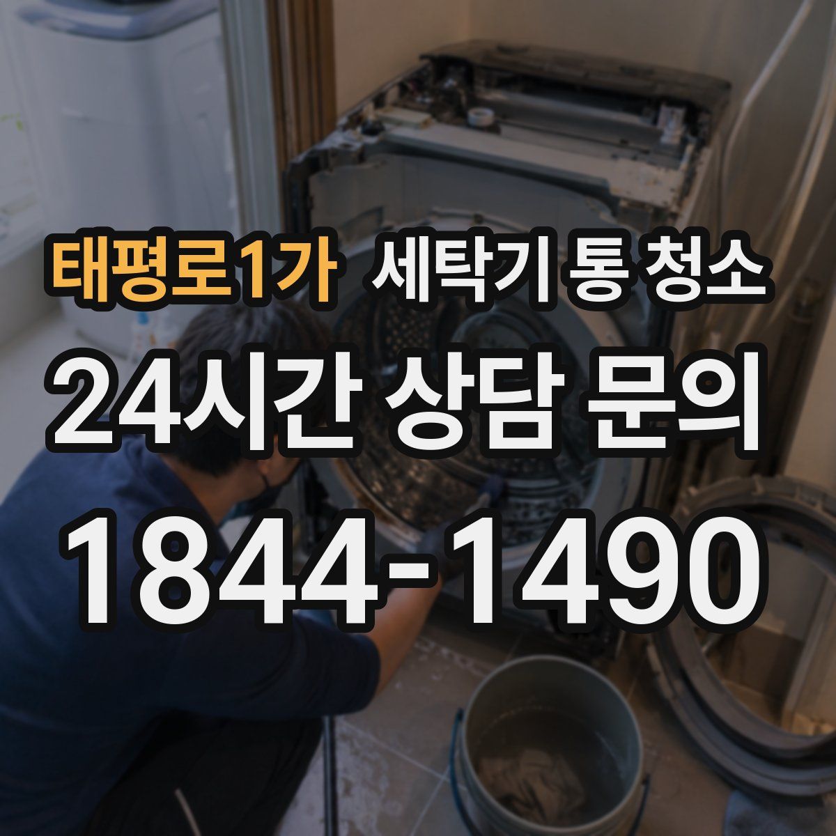 태평로1가 세탁기 통 청소