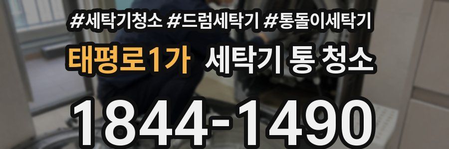 태평로1가 세탁기 통 청소