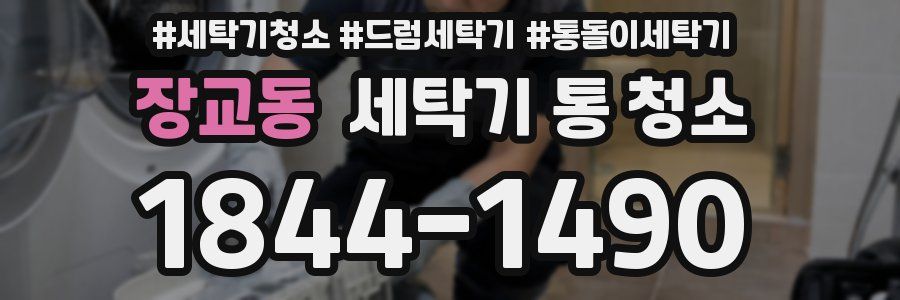 장교동 세탁기 통 청소