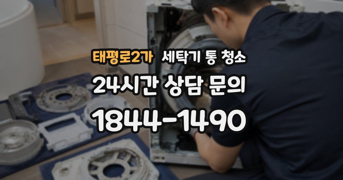태평로2가 세탁기 통 청소