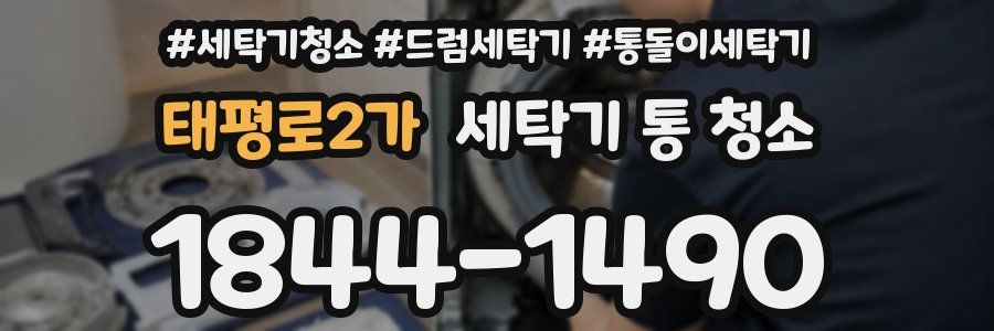 태평로2가 세탁기 통 청소