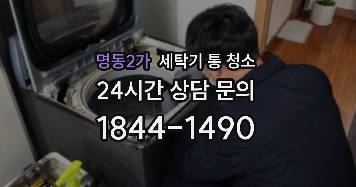 명동2가 세탁기 통 청소